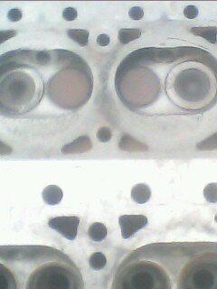 IMG0200A.jpg