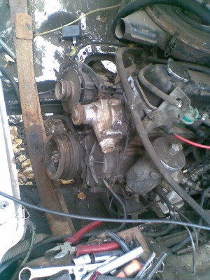 Фото300.jpg (329.14 КБ) 7994 просмотра Фото300.jpg