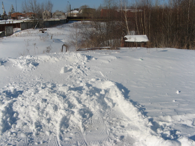 IMG_2905.jpg